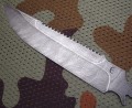 szczupak_dmst3.JPG