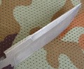 szturmowik2_dmst4.JPG