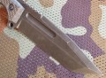 predator4.JPG