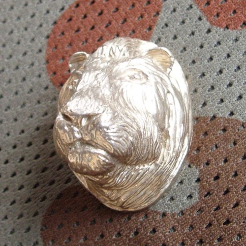 lion1.JPG