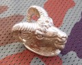 ram3.JPG