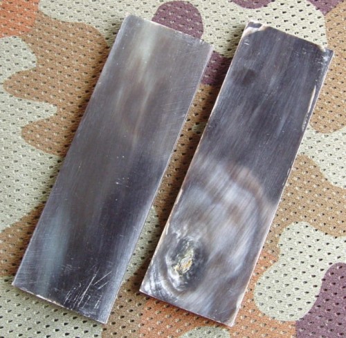 zebuhorn2_1.JPG