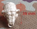 bull4.JPG