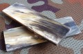 zebuhorn3_3.JPG