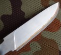 scout_lam6.JPG