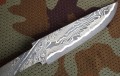 bars_lam5_5.JPG