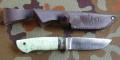 jegierS390_1.JPG