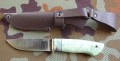 jegierS390_2.JPG