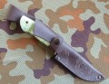 jegierS390_12.JPG