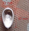 head32_5.JPG