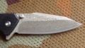 lynx_dmst4.JPG