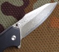 lynx_dmst5.JPG