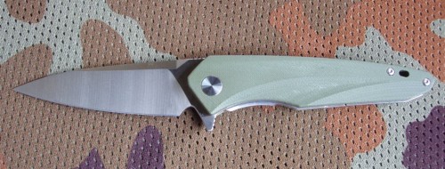 hawkD2green1.JPG