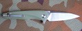 hawkD2green2.JPG