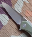 hawkD2green3.JPG