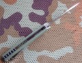 hawkD2green7.JPG