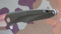 hawkD2green8.JPG
