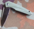 hawkD2green9.JPG