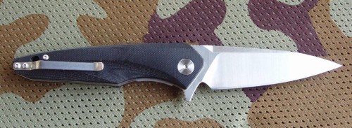 hawkD2black1.JPG