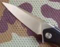hawkD2black3.JPG