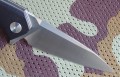 hawkD2black4.JPG