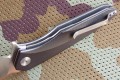 hawkD2black6.JPG