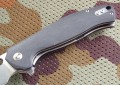 buffalocz6.JPG