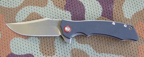 foxD2_1.JPG