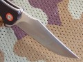 foxD2_4.JPG