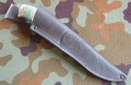 berkut_lam_stbrzoza10.JPG