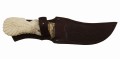 wostok_dmst_rog6.jpg