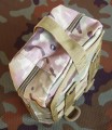 apt_multicam6.JPG