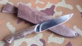 panteraD2wenge_9.JPG