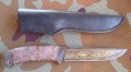 rif_dmst_pozl_stab1.JPG