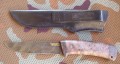 rif_dmst_pozl_stab2.JPG