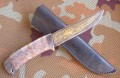 rif_dmst_pozl_stab9.JPG