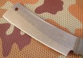 bizon3.JPG