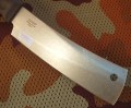 bizon4.JPG