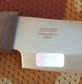 bizon5.JPG
