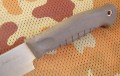 bizon7.JPG