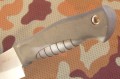 bizon8.JPG