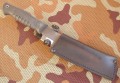 bizon10.JPG