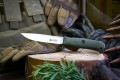combatAUS8oliwa3.jpg