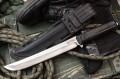 SenseiD2SW2.jpg