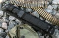 MaximusAUS-8TW4.jpg
