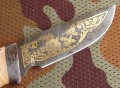 stalker_dmst_kora_gold4.JPG