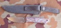 bielkaN690_2.JPG