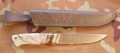 panteraS390klon1.JPG