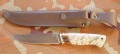 panteraS390klon2.JPG