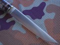 panteraS390klon5.JPG